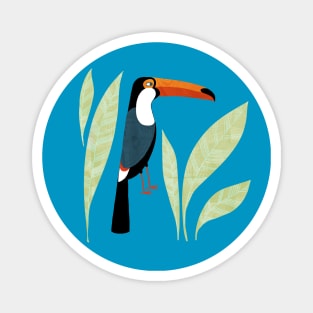 Toucan Magnet